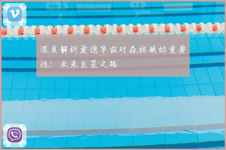 深度解析爱德华兹对森林狼的重要性：未来巨星之路