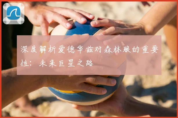 深度解析爱德华兹对森林狼的重要性：未来巨星之路